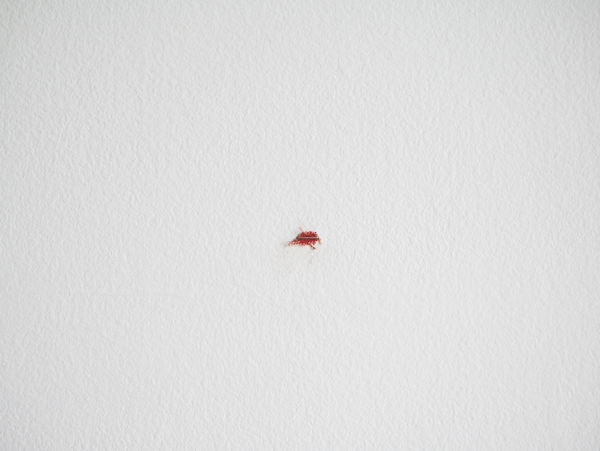 Örn Alexander Ámundason, Rif (Rautt), 2017