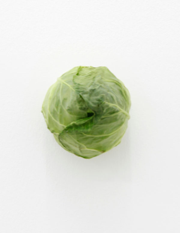 KARIN SANDER, Pointed cabbage (Kitchen Pieces), 2011 / 2016