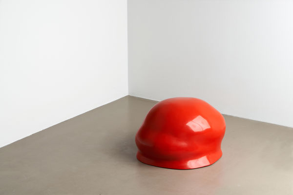 Apricot (From the series "like it is")