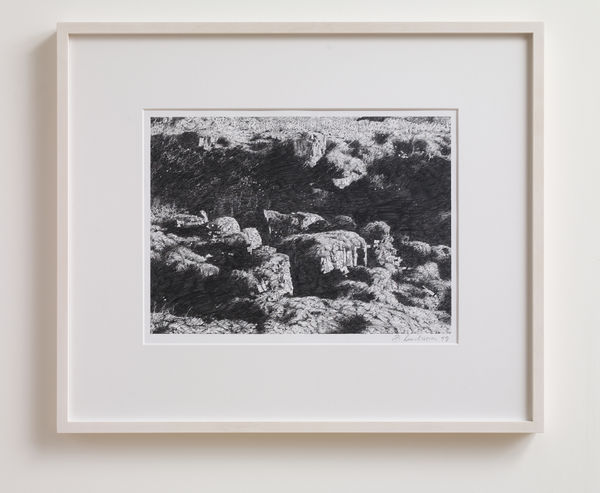 BIRGIR ANDRÉSSON, Untitled (Moss), 1999