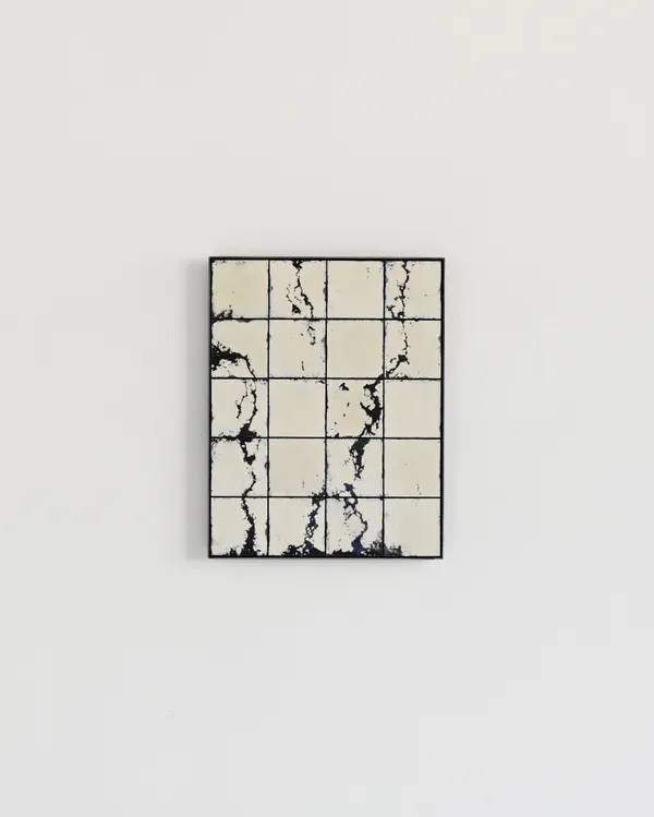 Tjitske Oosterholt, Migrating Waters, 2026