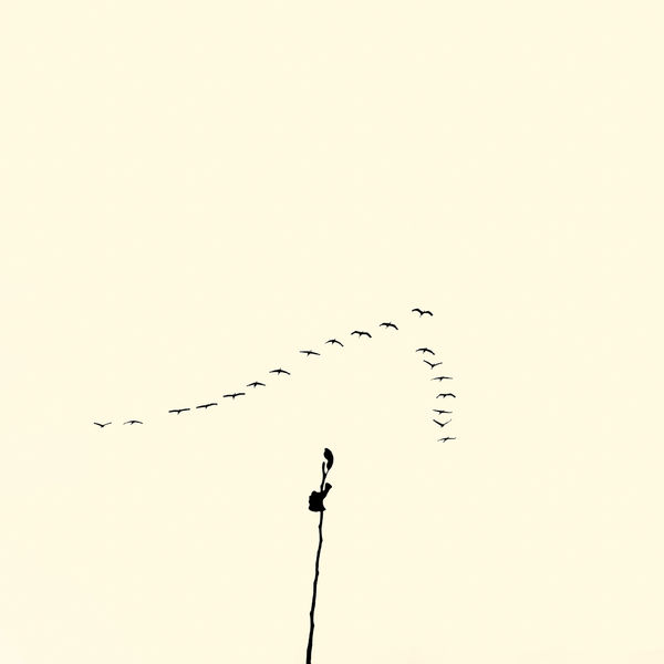 François Laxalt, Dix Neuf / Nineteen, 2015