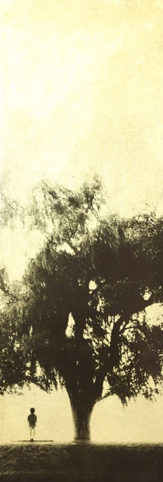 Naohiro Ninomiya, Glanage-26, 2019