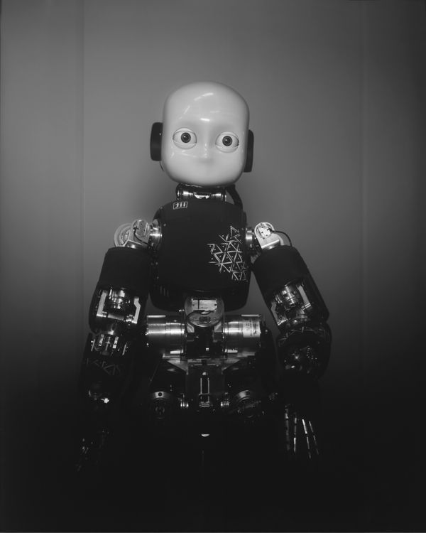 Wanda Tuerlinckx, iCub, Asada Research Group, Osaka, Japan, 2017