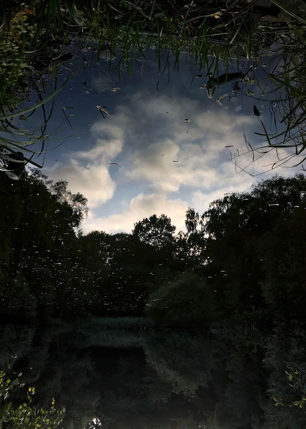 Sayako Sugawara, Clouds in Dark Pond, 2019
