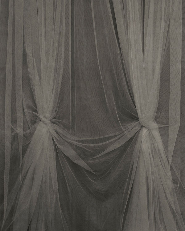 Sayuri Ichida, Absentee #263, 2021