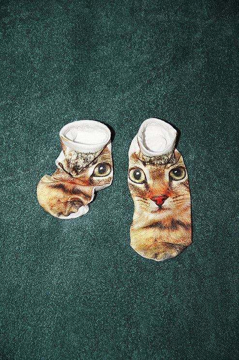 Yoshinori Mizutani, Colors 044, 2013