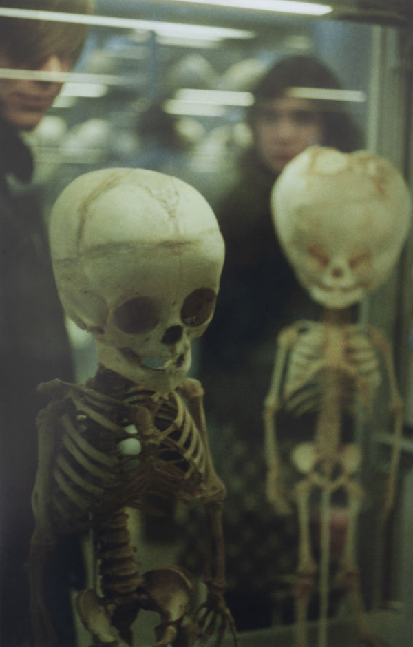 Hanayo, Untitled (skeletons), 2000/2021