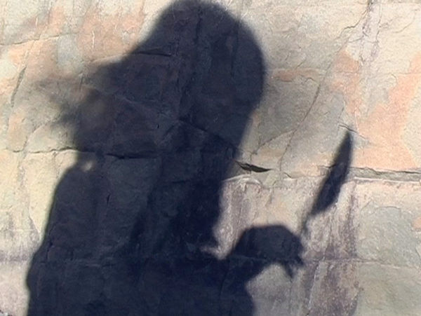 Madelon Hooykaas, Shadow and feather, from 'Haiku, the art of the present moment', 2007/2023