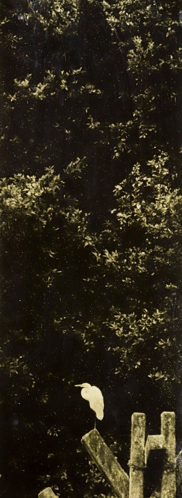 Naohiro Ninomiya, Glanage-64, 2022