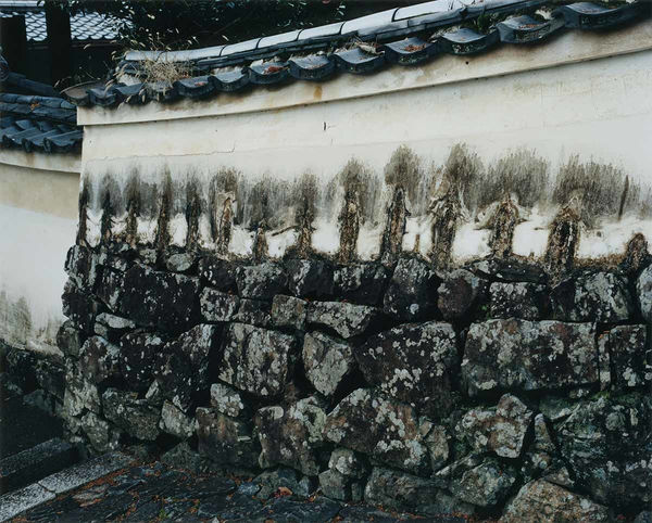 Yoko Ikeda, 0749-05 Oyamazaki Town, Kyoto Prefecture, 2010