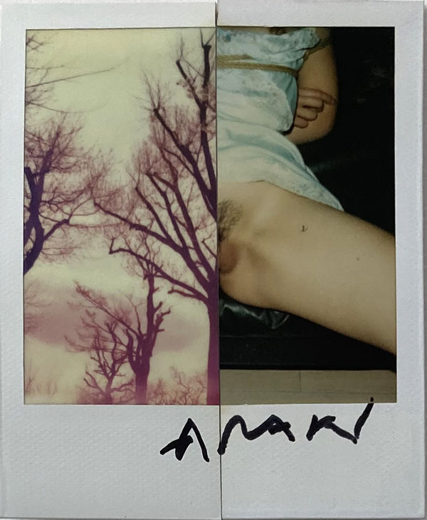 Nobuyoshi Araki, Untitled, 2014