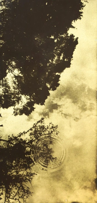 Naohiro Ninomiya, Glanage-29, 2019