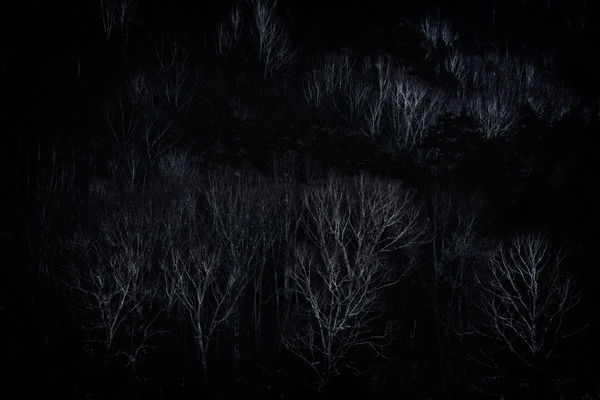 Yukari Chikura, Untitled, from Fluorite Fantasia, 2015