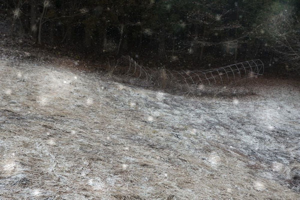 Yukari Chikura, Zaido 31, 2012-2017