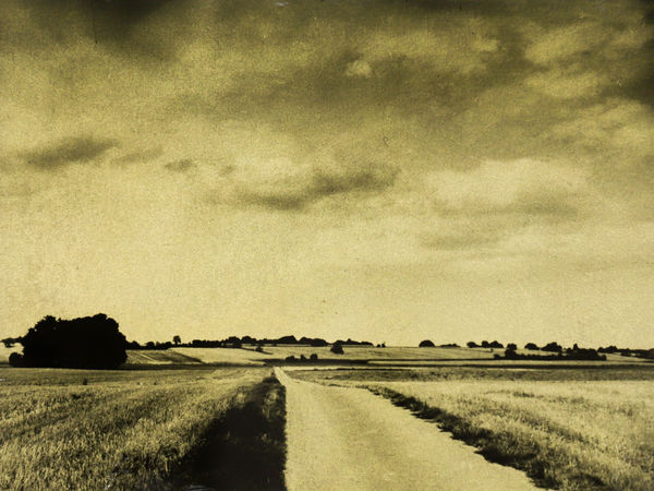 Naohiro Ninomiya, Glanage-52, 2021