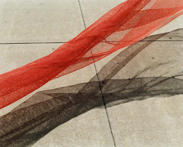 Yoko Ikeda, 1780-03 New York City NY, USA, 2019