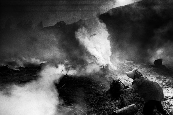 Hajime Kimura, Matagi 15, 2007-2013