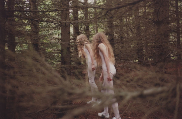 Ariko Inaoka, Eagle & Raven - forest, 2015