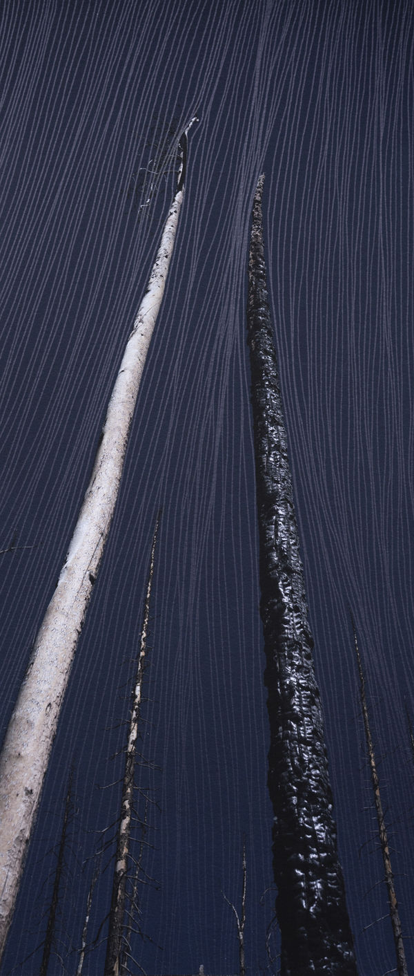 Morvarid K, Standing Still 10-1, 2026