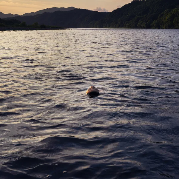 Takako Kido, Magic Hour, 2022/2026