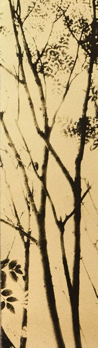 Naohiro Ninomiya, Glanage-27 , 2019