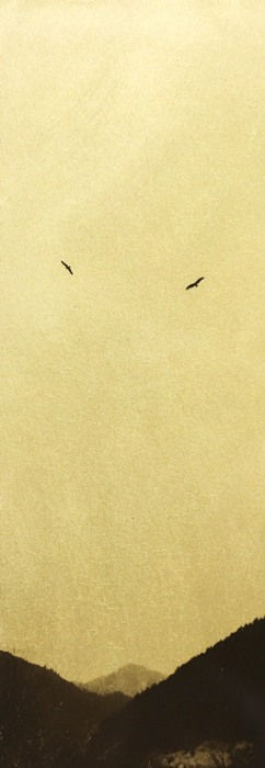 Naohiro Ninomiya, Glanage-24, 2019