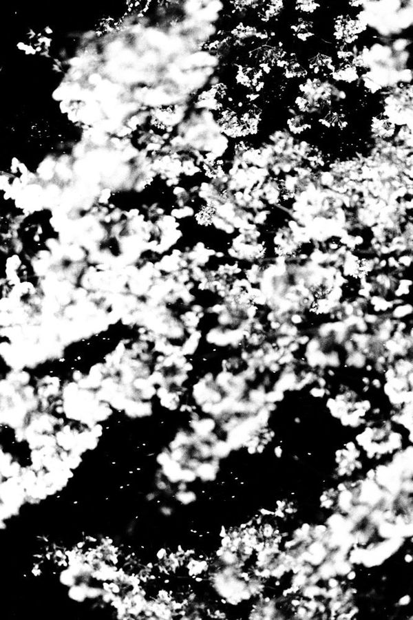 Munemasa Takahashi, Laying Stones 046, 2014