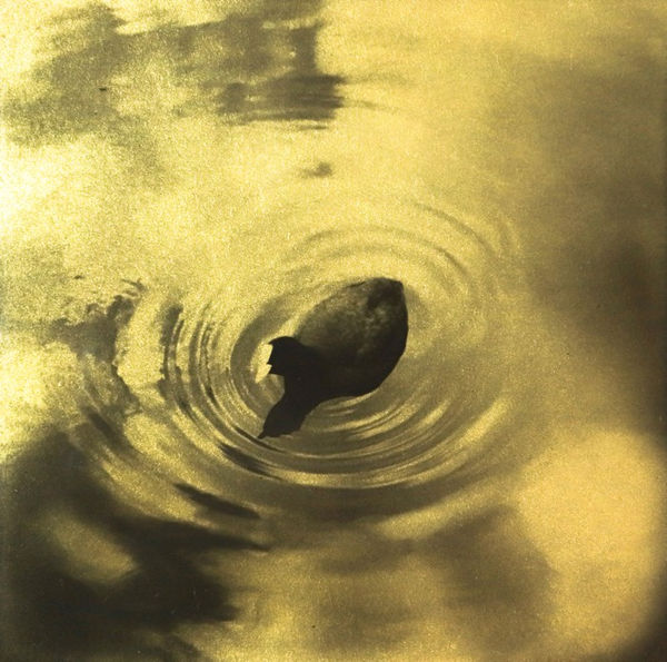 Naohiro Ninomiya, Glanage-3, 2019