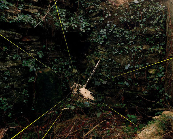 David Favrod, Le liseur de rêves, 2018