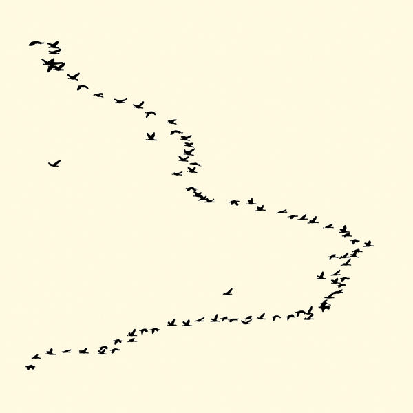 François Laxalt, Quatre Vingt Un / Eighty one, 2008