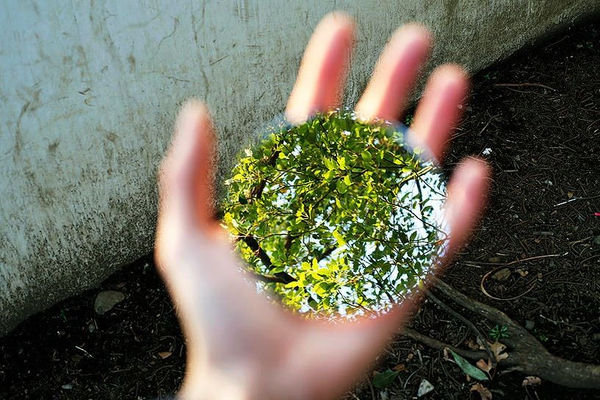 Yoshinori Mizutani, Yusurika 008, 2015