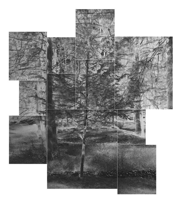 Motohiro Takeda, Untitled from Blink/Matataki, 2015