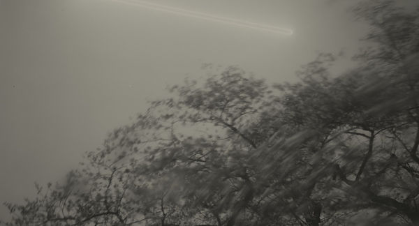 Keiichi Ito, F1361, 2019