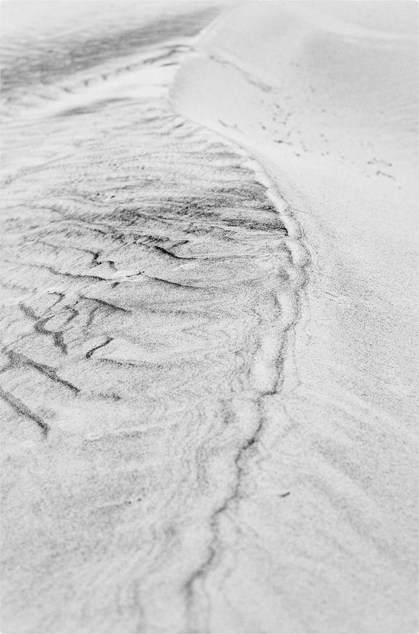 Margaret Lansink, Spine, 2022