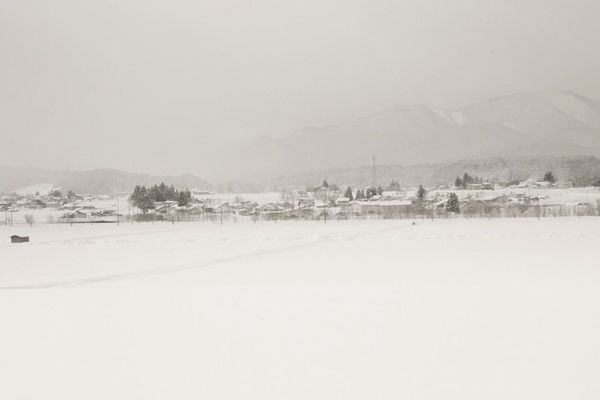 Yukari Chikura, Zaido 28, 2012-2017