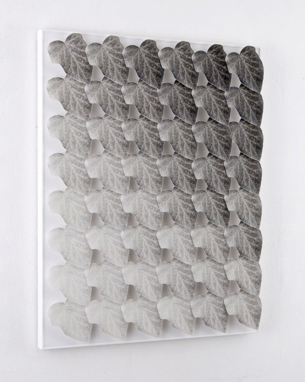 Norio Takasugi, Efeu 14-13G, 2017