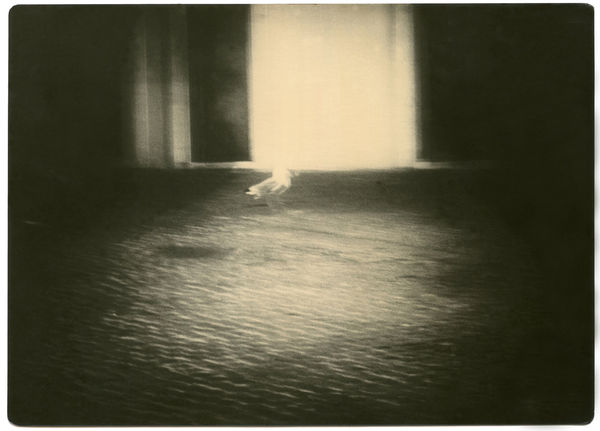 Miho Kajioka, BK0484, 2019