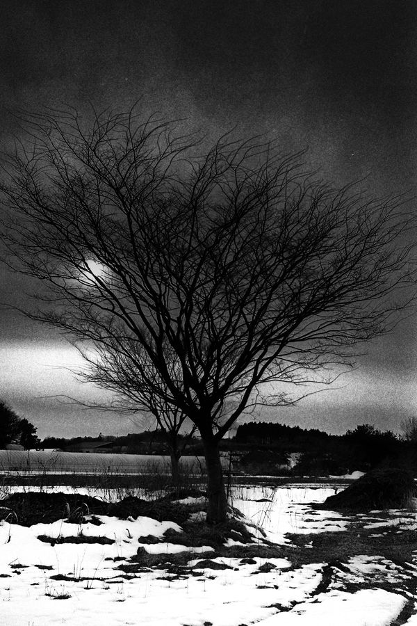 Hajime Kimura, Matagi 59, 2007-2013