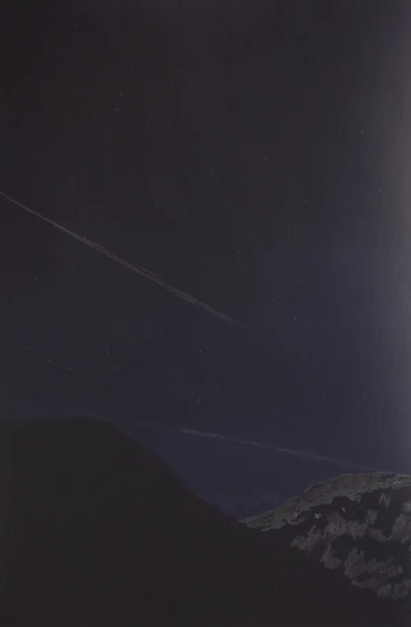 Marco Tagliafico, Viola , 2019