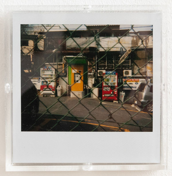 Daido Moriyama, Bye bye Polaroid, 2008