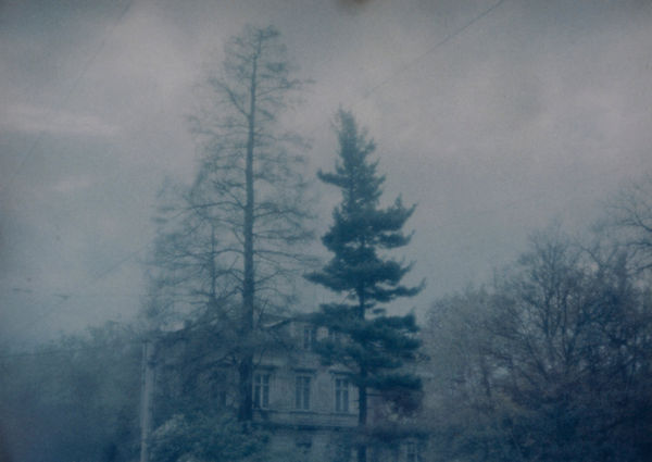 Hanayo, Untitled (trees & house), 2002/2021