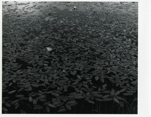 Toshio Shibata, 1979-024 Scotland, UK, 1979