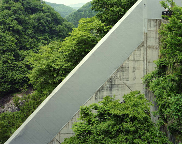 Toshio Shibata, C-2766 Minakami Town, Gunma Prefecture, 2016