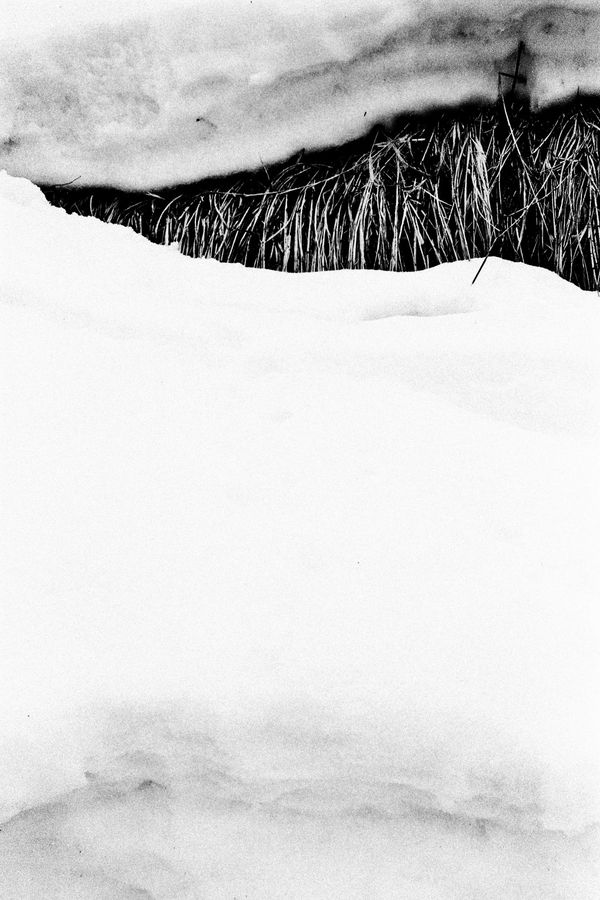 Hajime Kimura, Matagi 28, 2007-2013