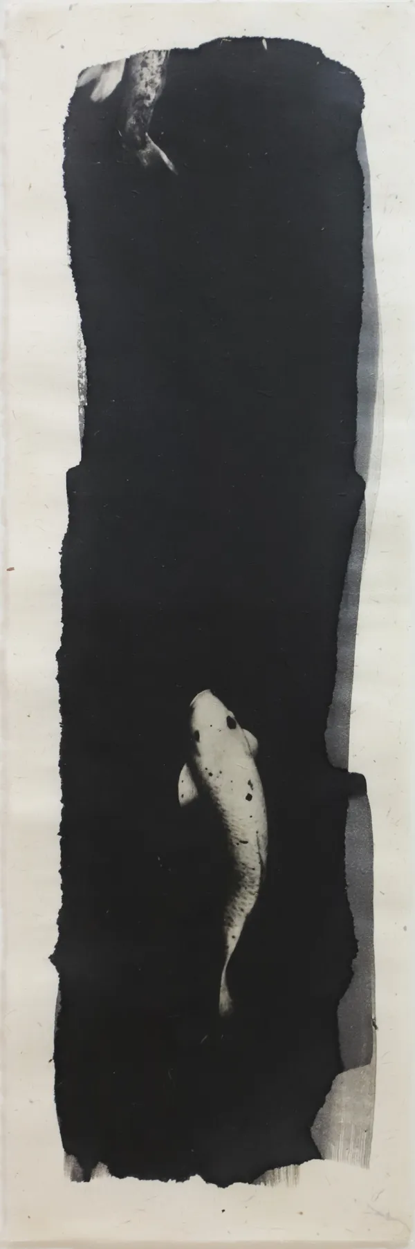 Naohiro Ninomiya, Nokomi-11, 2020