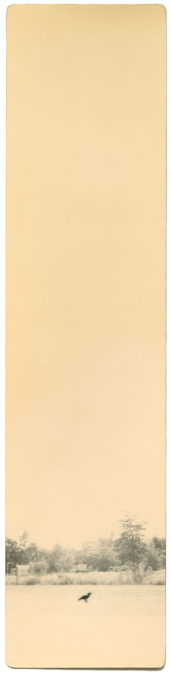 Miho Kajioka, BK0020, 2003