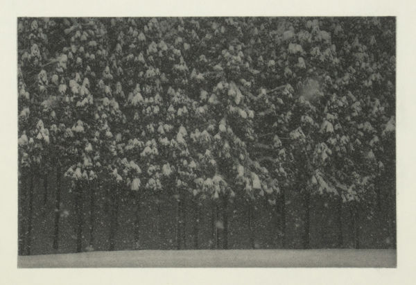 Sayuri Ichida, Phoka #029, 2025