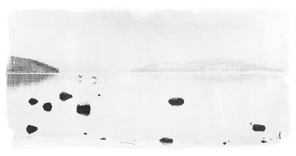 Margaret Lansink, Birds (Concept of Ma), 2019