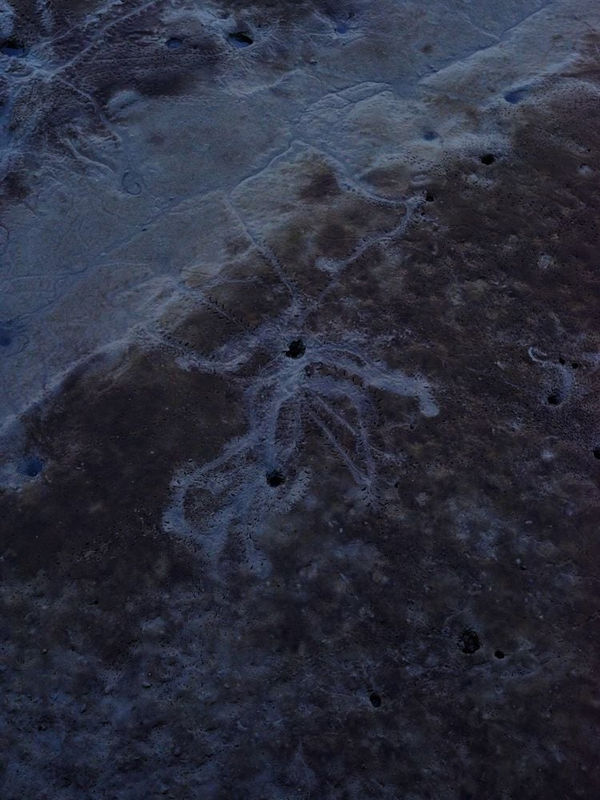 Guillaume Simoneau, Untitled form Murder (dusk 01), Takeo City, Saga pref, Japan, 2016